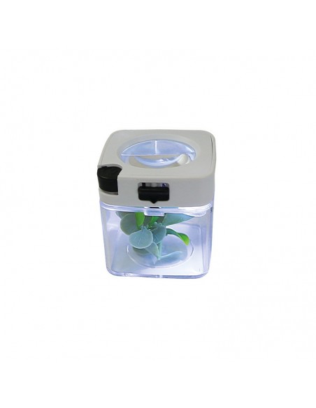 Smokus Focus Comet blanco
