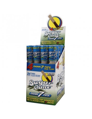 Cyclones Boquillas de sabores