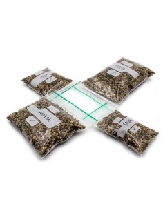 Bolsas ziplock impresas 55x65 mm 100ud 2