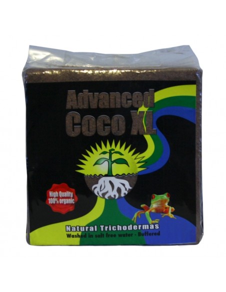 ADVANCED COCO XL