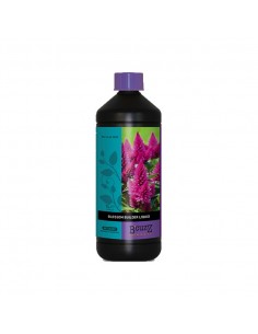 Atami - Blossom Builder Líquido - 1L